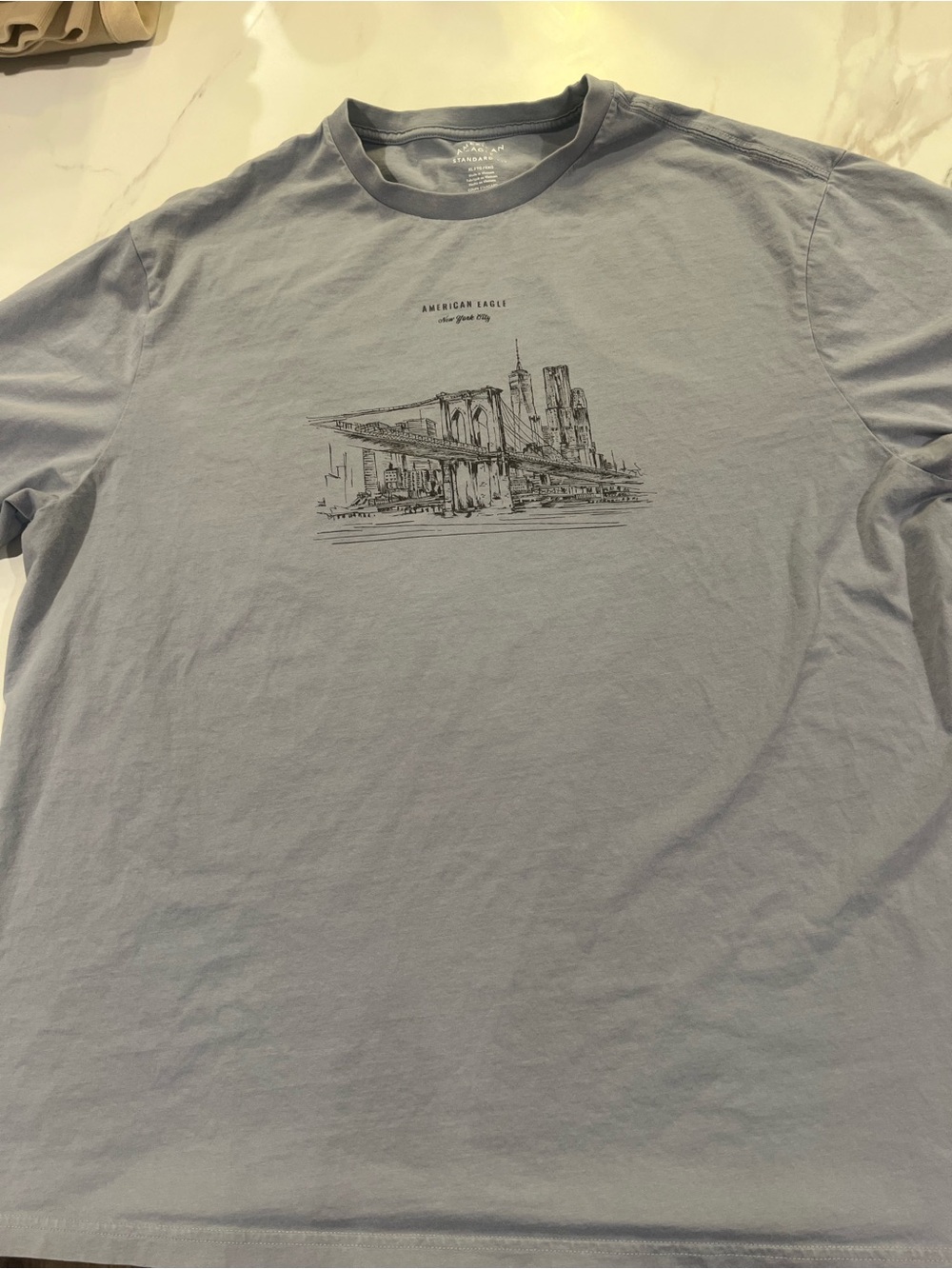 American Eagle Outfitters Men’s Pale Blue Crewneck Tee with Cityscape Sketch